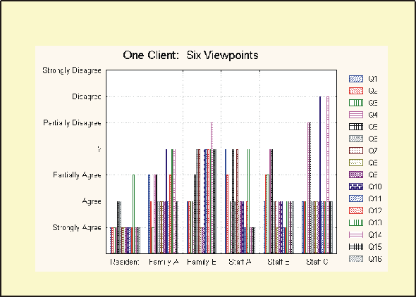 One Client Six Viewpoints